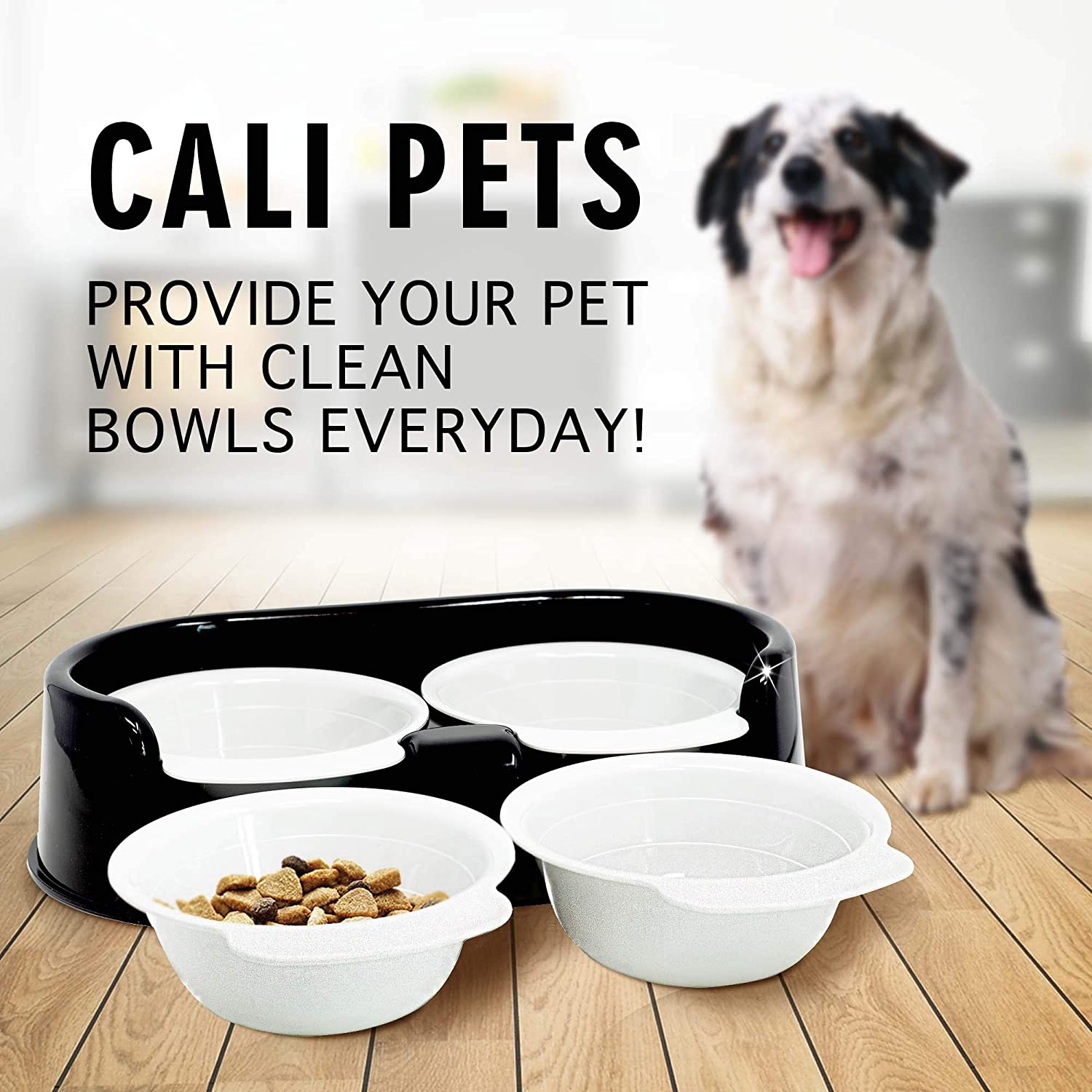Cali Pets Clean Feeder Pet Bowls with Stand, Large (1.5 - 4 cup) - Rapid Brands